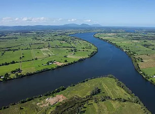 Tarre-image